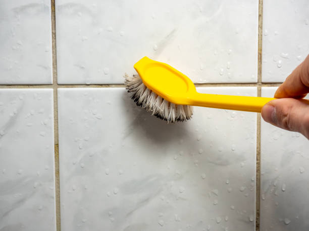 Best Residential Mold Remediation in Grandyle Village, NY